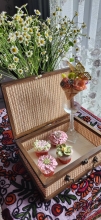 New bambo box with wooden frame